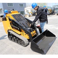 Mini Skid Steer Loader versatili